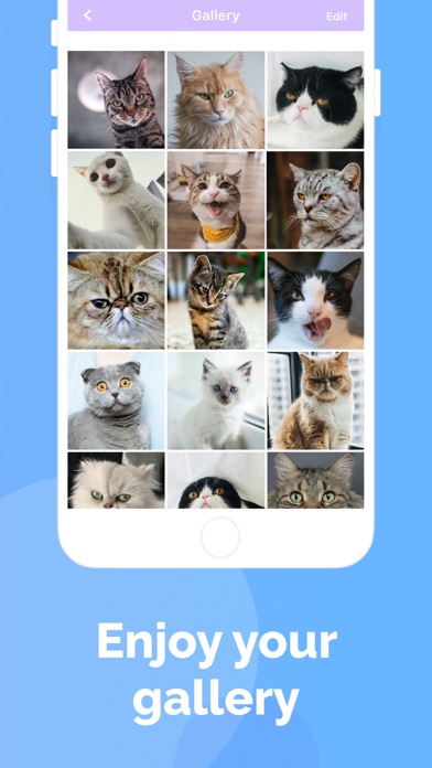 Cat's Cam: selfie of your pet Screenshot