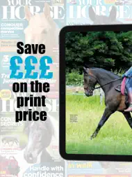 Your Horse ipad bilder 2