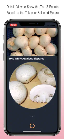 Game screenshot Mushroom Identifier apk