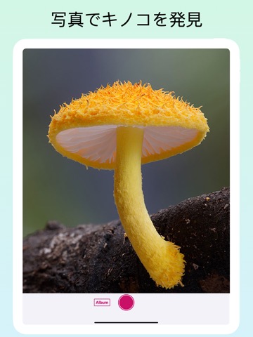 Fungus Idのおすすめ画像3