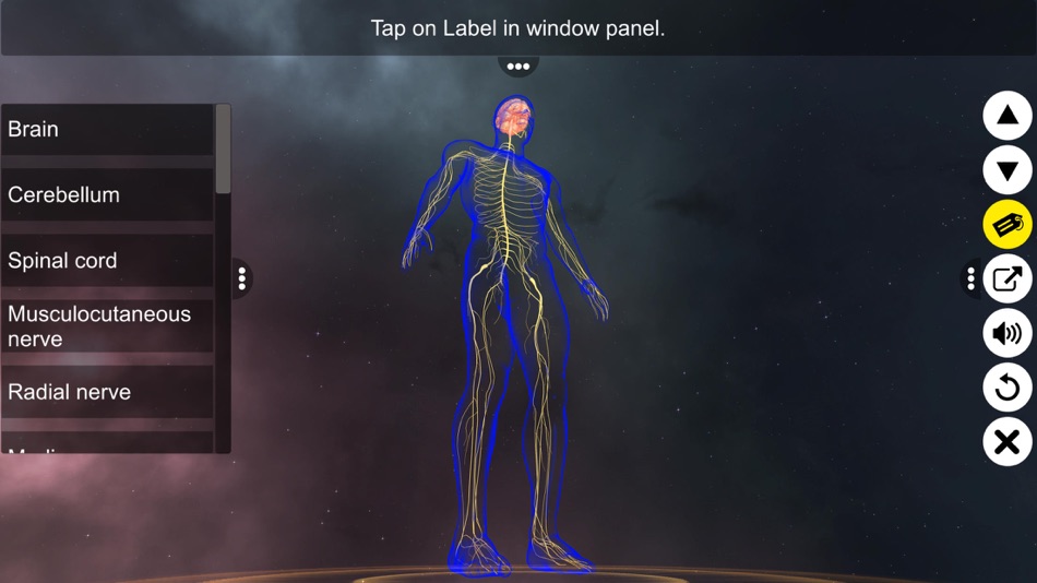 #2. Human Nervous system (iOS) 由: VIRTUAL FILAMENTS PRIVATE LIMITED