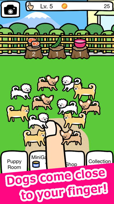 Play with Dogs - relaxing game Screenshot