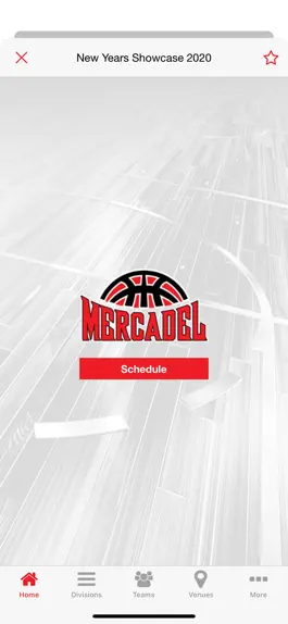 Game screenshot Mercadel Basketball hack