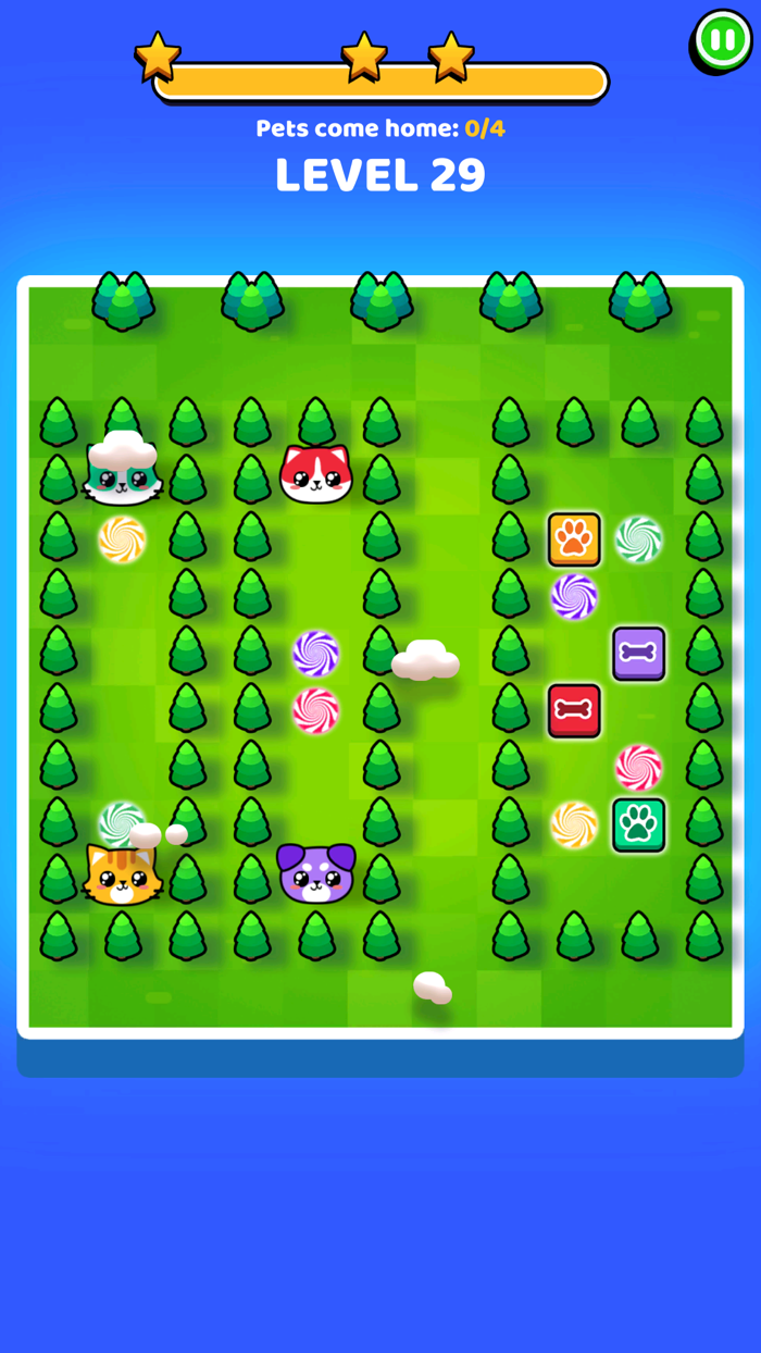 Pets Escape Dogs  Cats