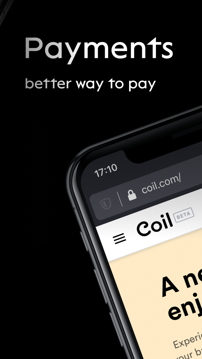 Puma Browser Fast and Private