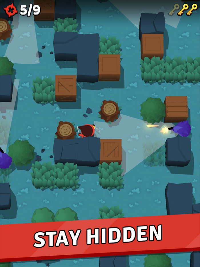 Ninja Assassin Stealth hunter