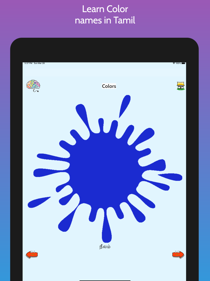 Learn Tamil FlashCards