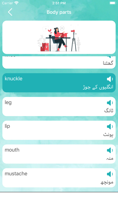Learn to Speak English Quickly Screenshot