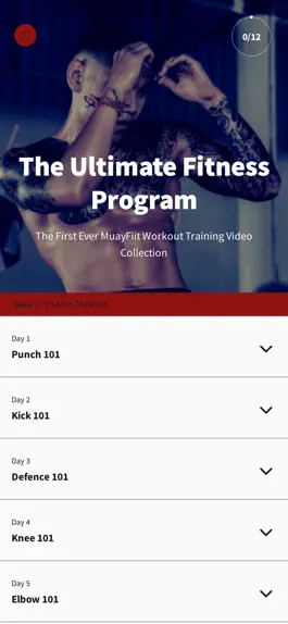 Game screenshot FightingFitApp hack