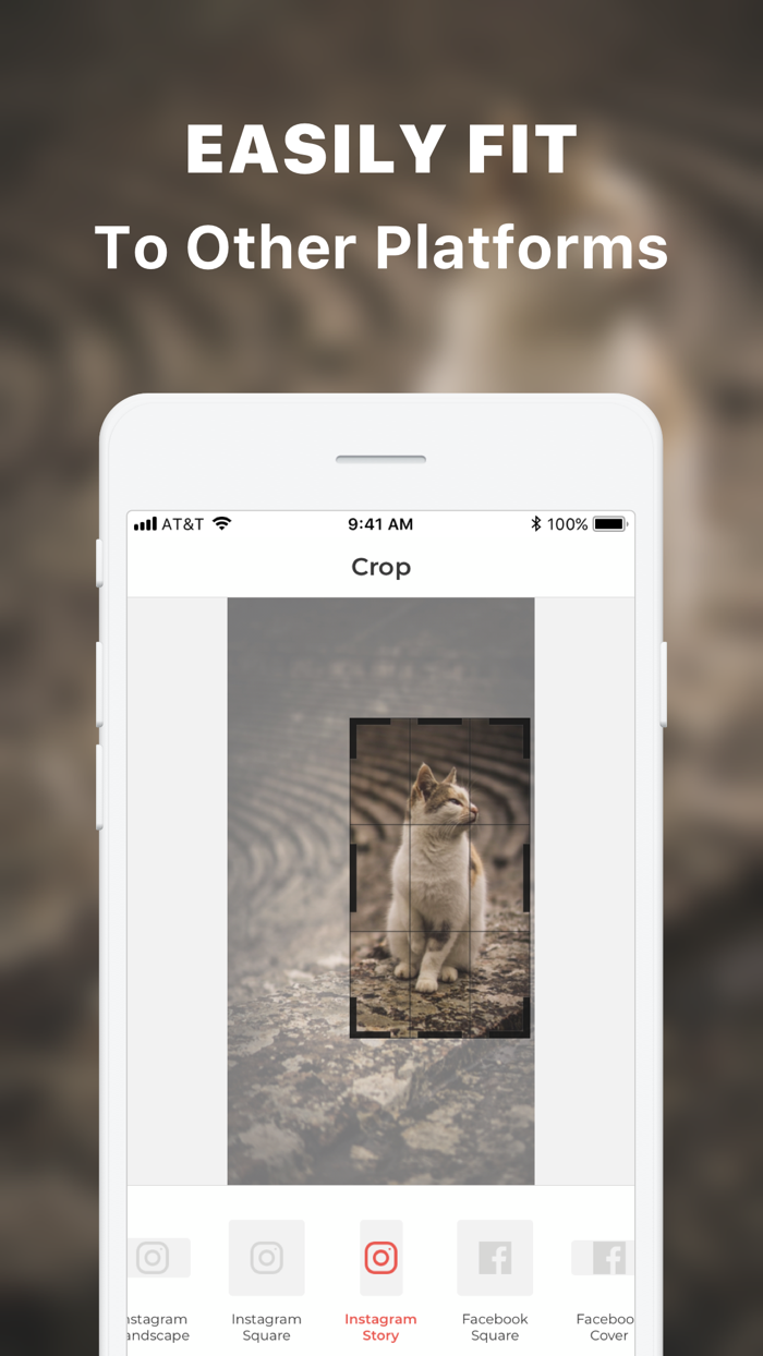 RNA Lens Video Photo Editor