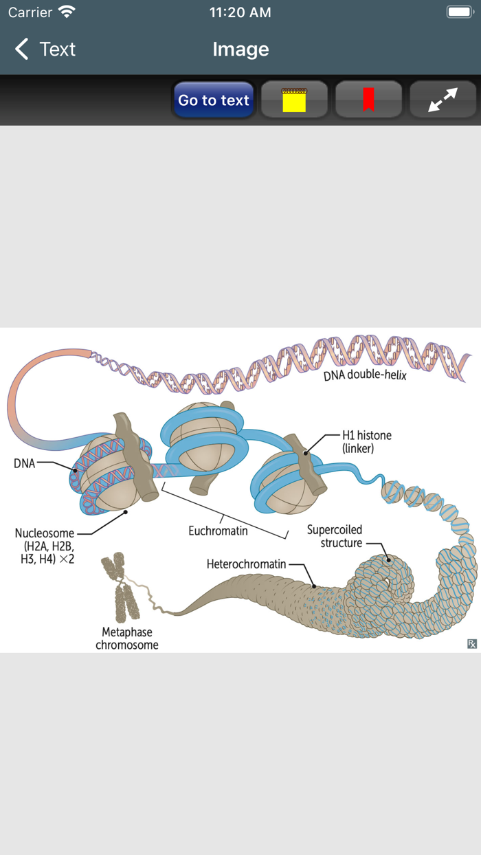 First Aid USMLE Step 1 2021