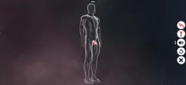 Game screenshot Human Reproductive System apk