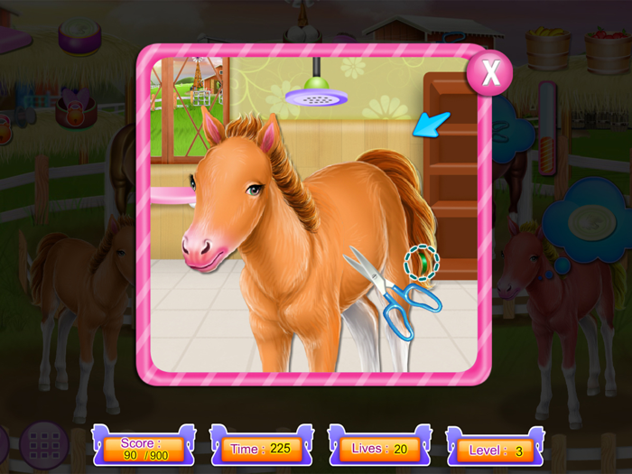 Horse and pony caring game