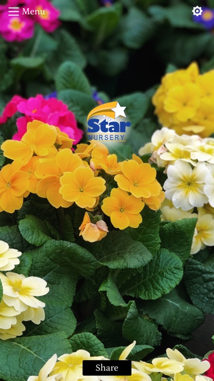 Star Nursery Garden Centers