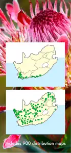 Wildflowers of South Africa screenshot #5 for iPhone