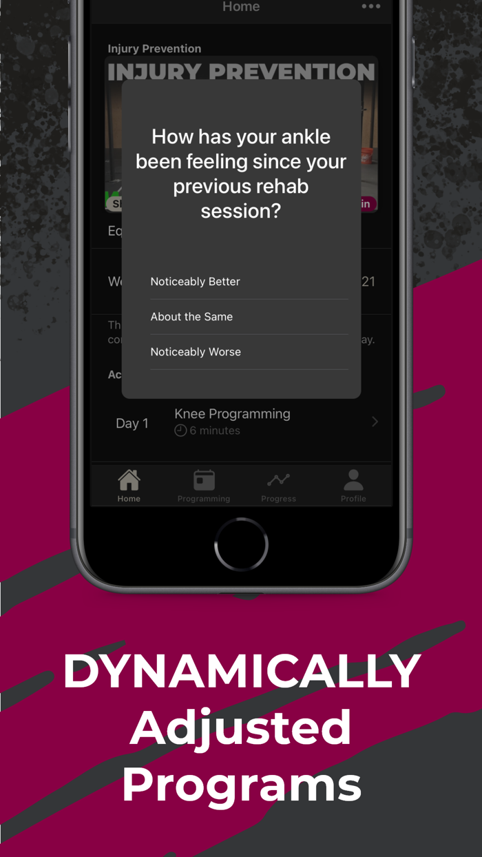 Renegade Rehabilitation