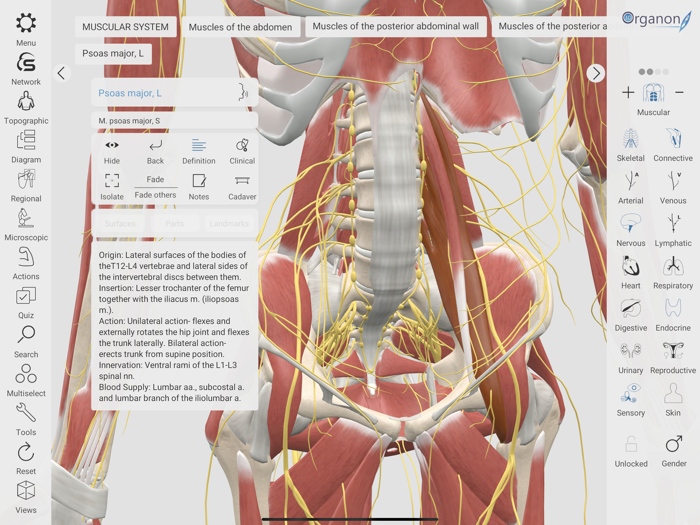 3D Organon Anatomy Enterprise