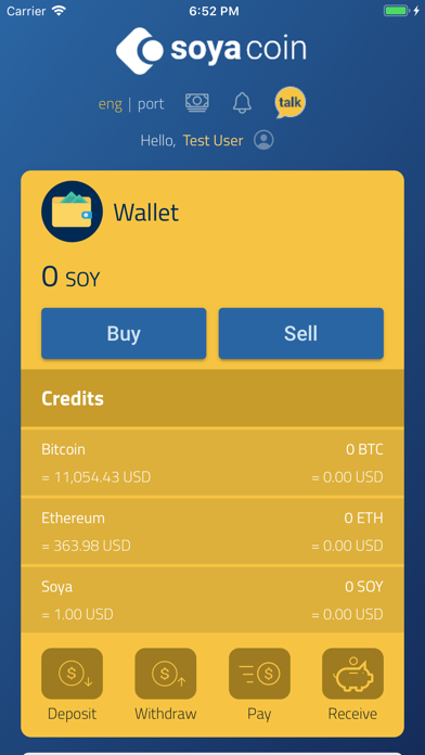SoyaCoin Screenshot