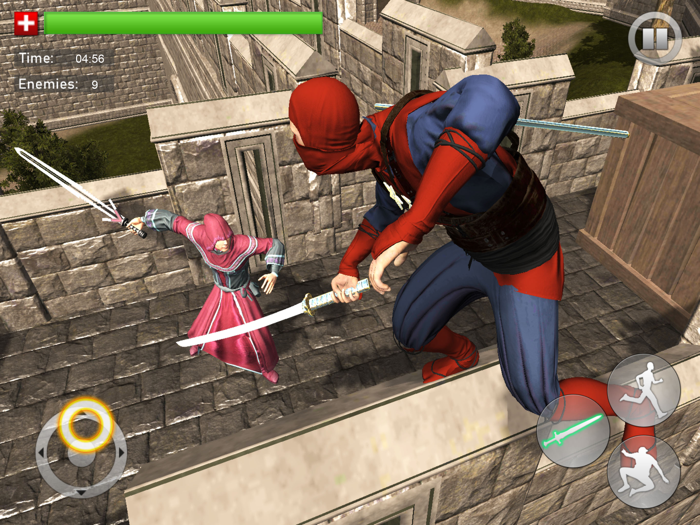 Ninja Warrior Samurai Assassin