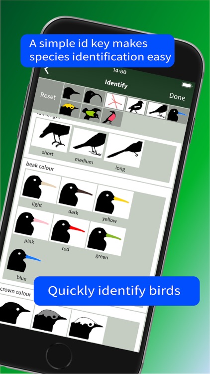 All Birds Trinidad and Tobago screenshot-9