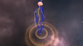Game screenshot Human Nervous system mod apk