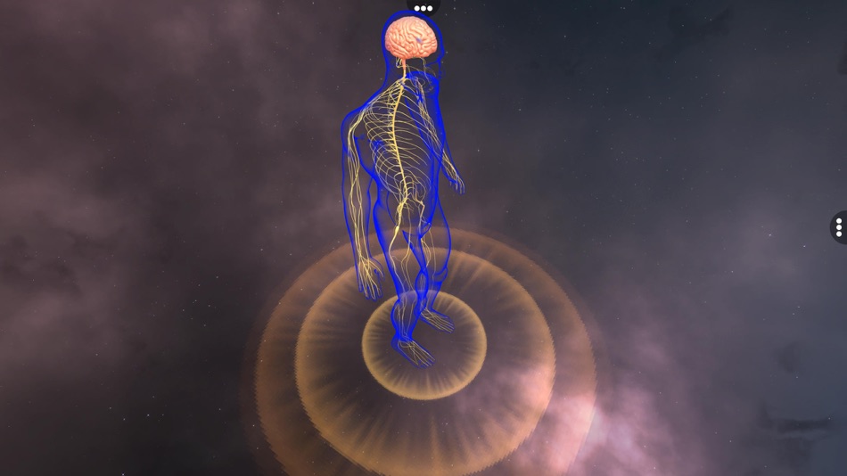 #1. Human Nervous system (iOS) 由: VIRTUAL FILAMENTS PRIVATE LIMITED