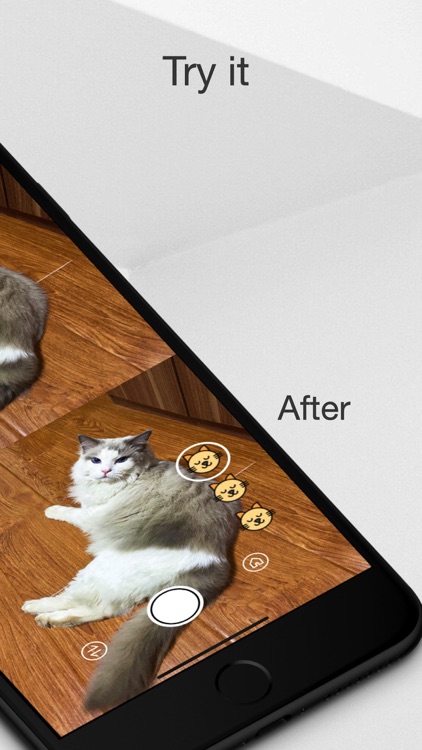 MeowCam-Play sound attract pet