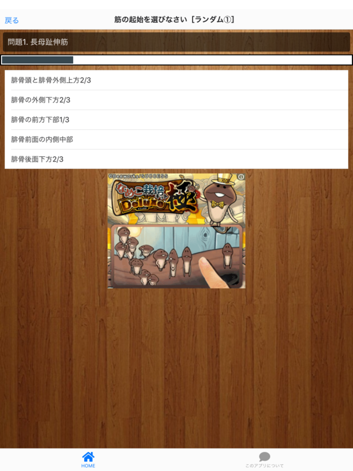『身体運動の機能解剖』クイズ