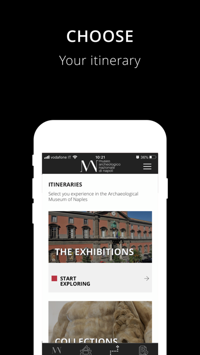 MANN Museum Screenshot