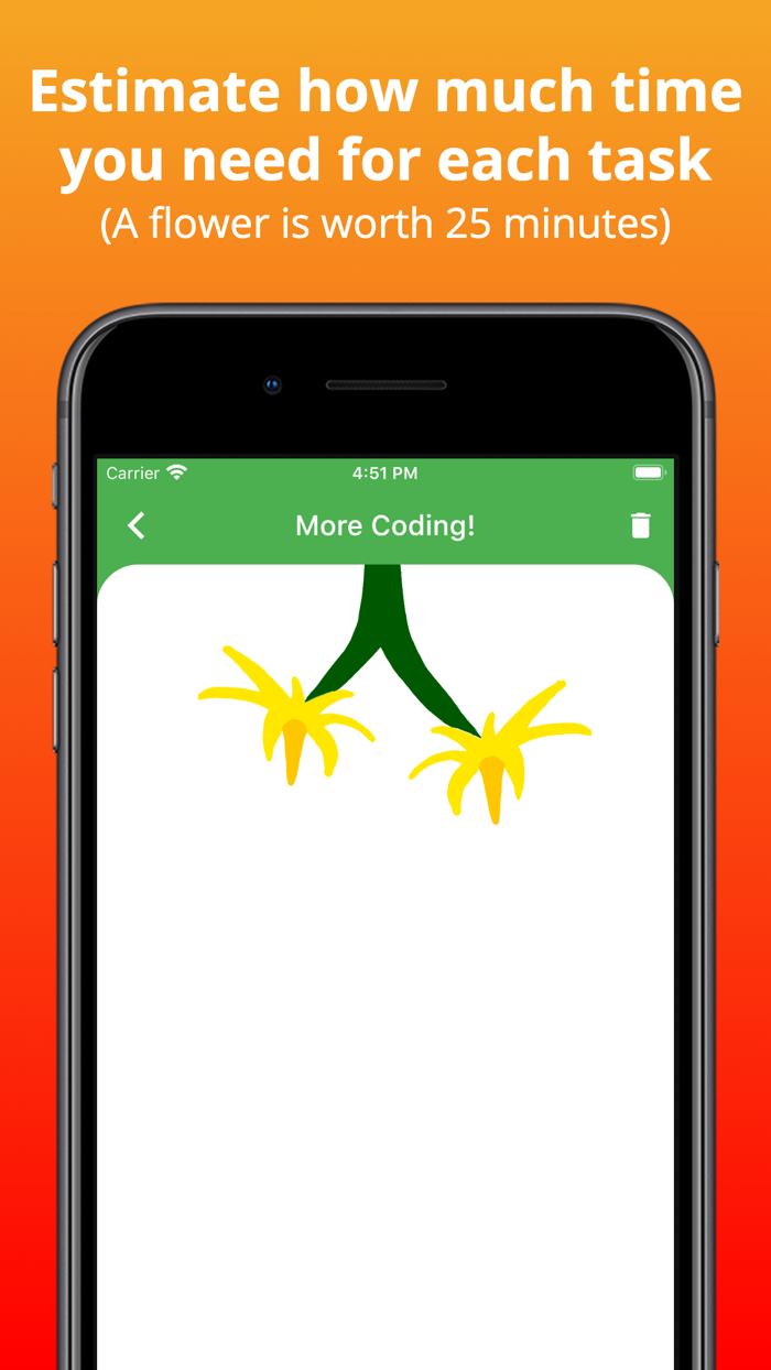 ConcentratedTomato Focus Timer