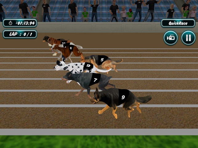 Dog Crazy Race Simulator 2023 on the App Store