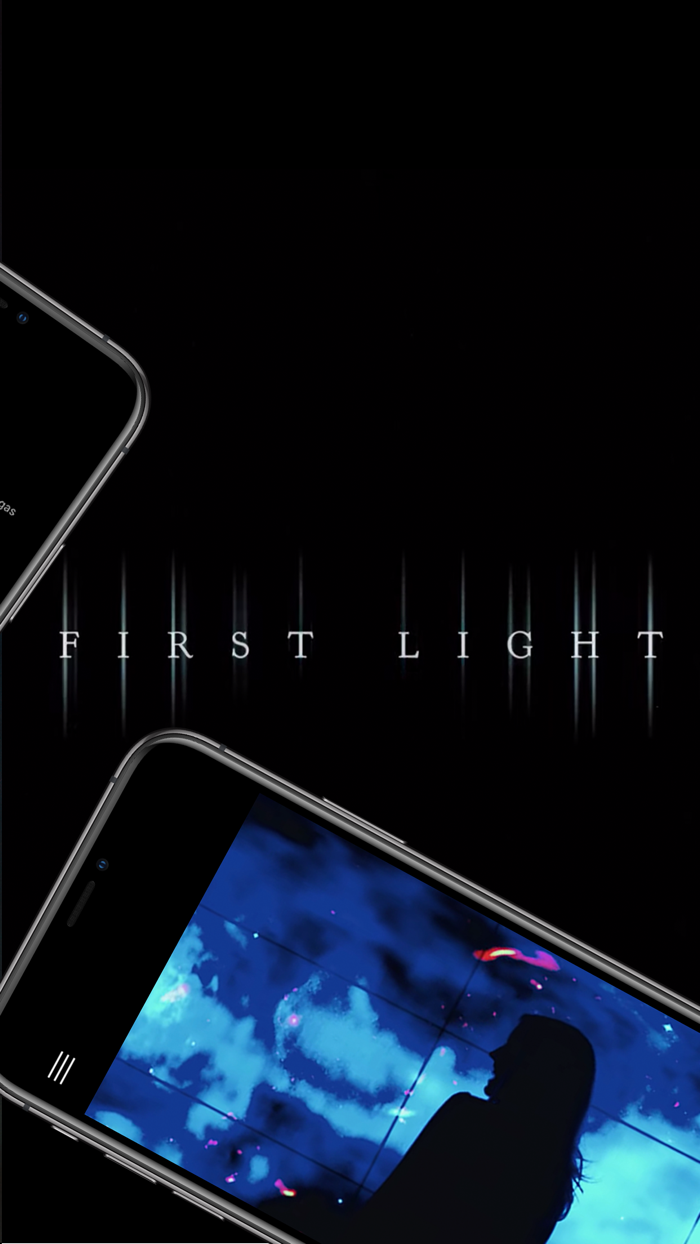 Chandra 20 Years and Beyond