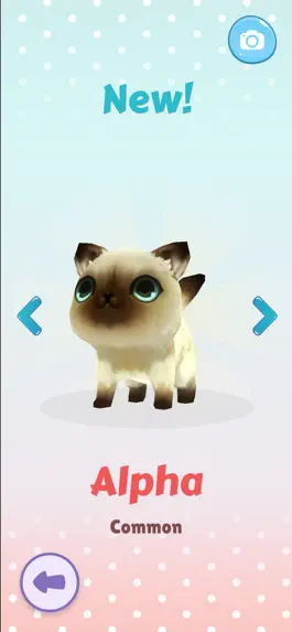 Game screenshot CatBox apk