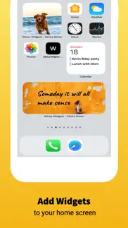 sticky widgets - sticky notes iphone screenshot 2