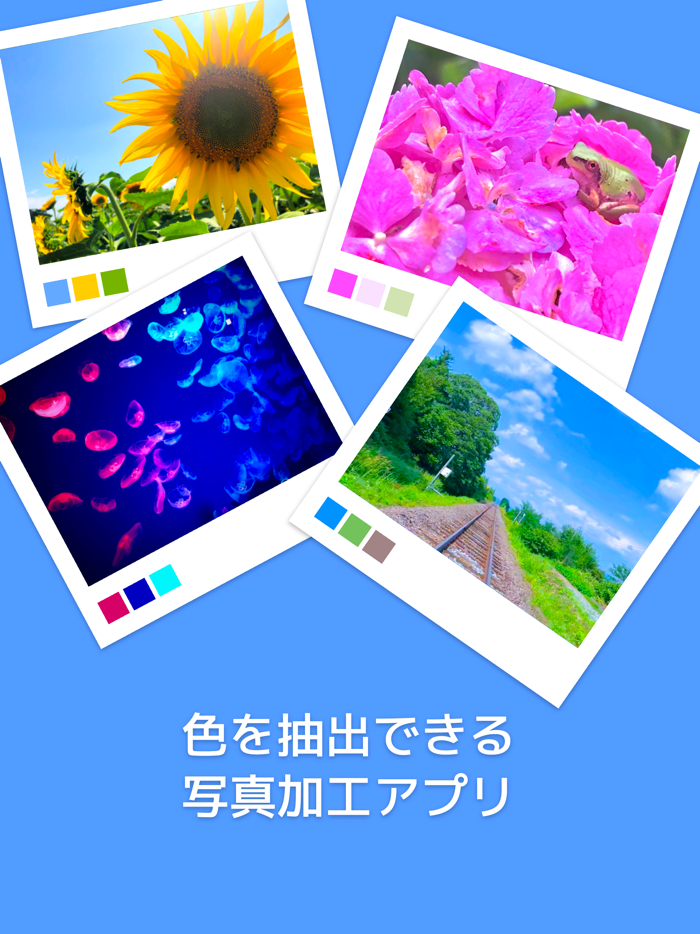 Picolor - 色を抽出できる写真加工アプリ