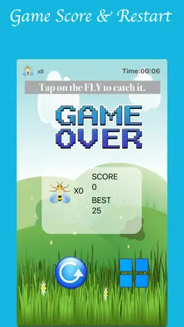 Game screenshot Catch The Housefly hack