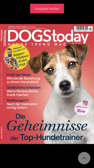 DOGStoday Magazin Screenshot