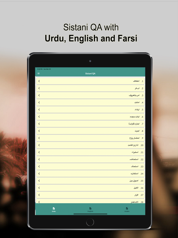 Screenshot #4 pour Sistani QA