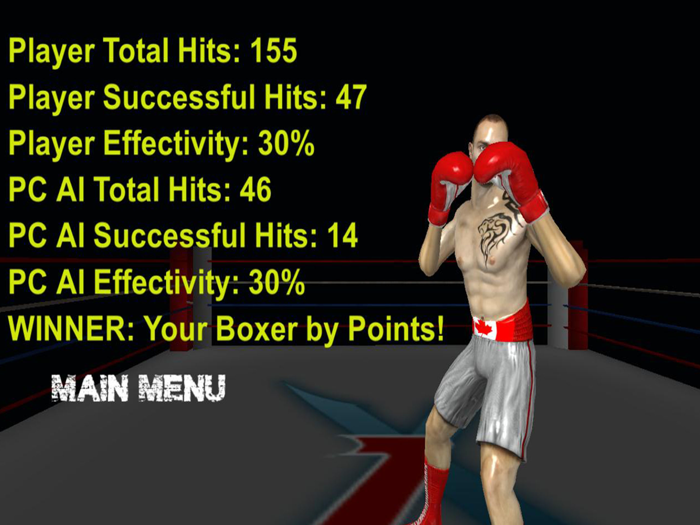 Real 3D Boxing Punch