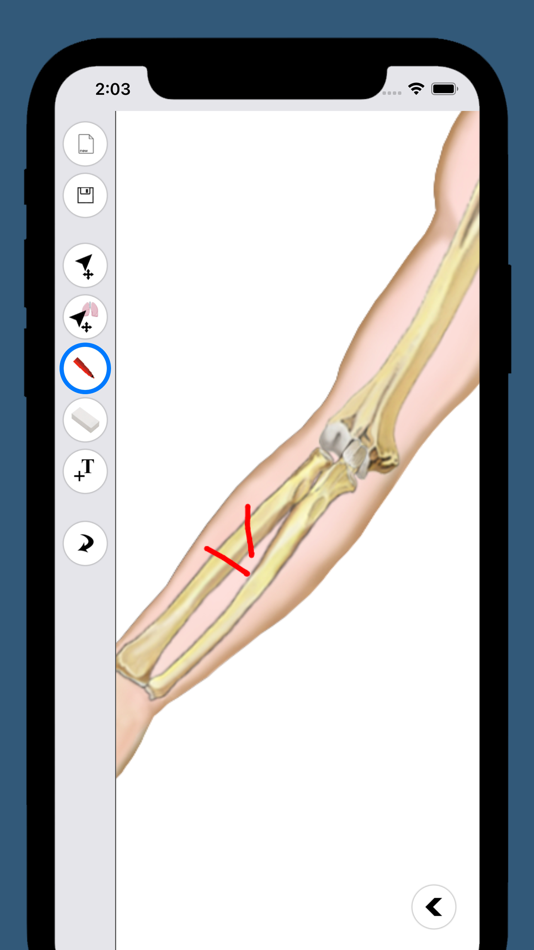 MedPaint (iOS) Podle: Anthony Pauriche