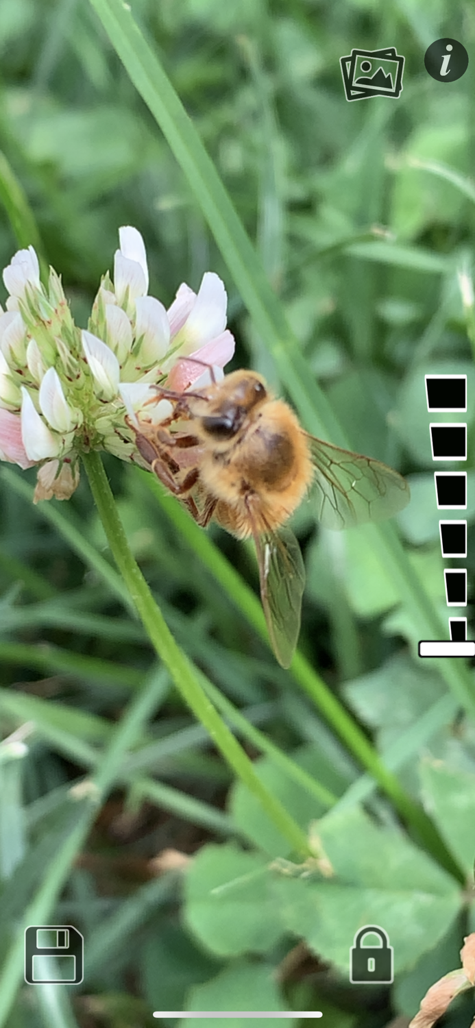 SuperVision Magnifier