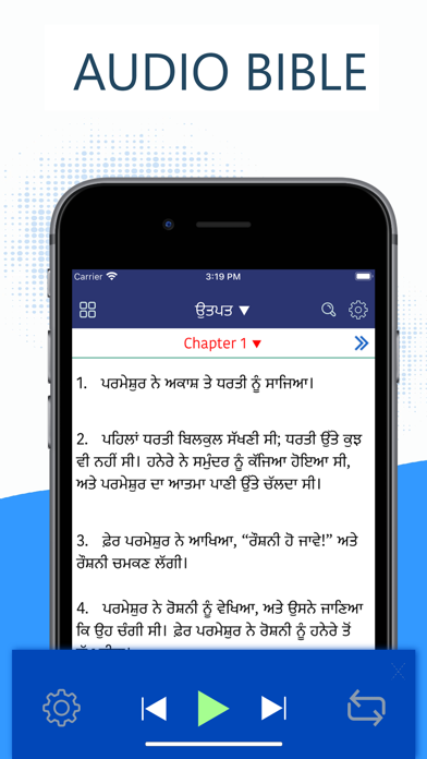 Punjabi Bible (Holy Bible) Screenshot