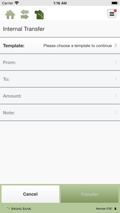 Spring Bank Business Screenshot