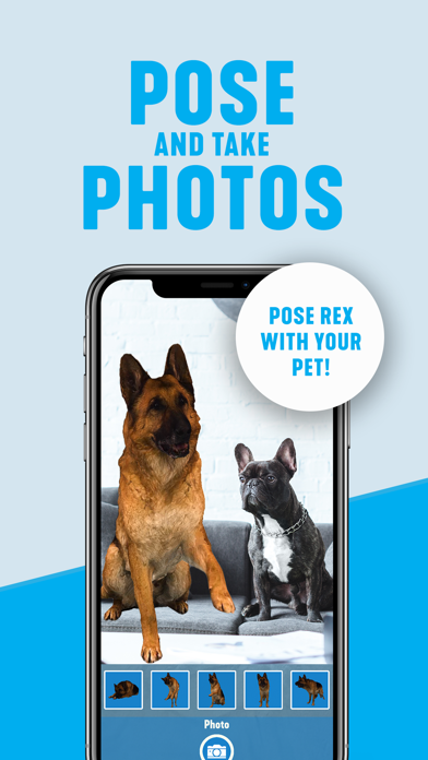 Hudson & Rex: Rex At Home Screenshot