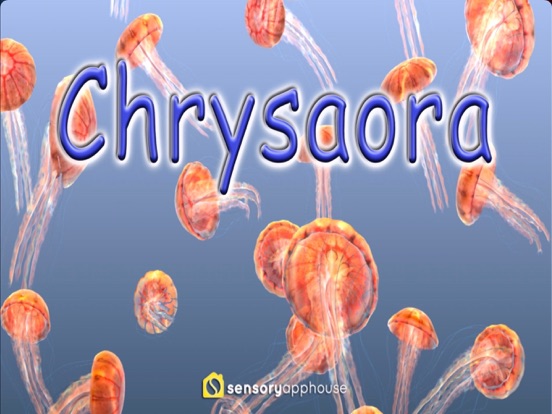 Screenshot #4 pour Jellyfish Chrysaora