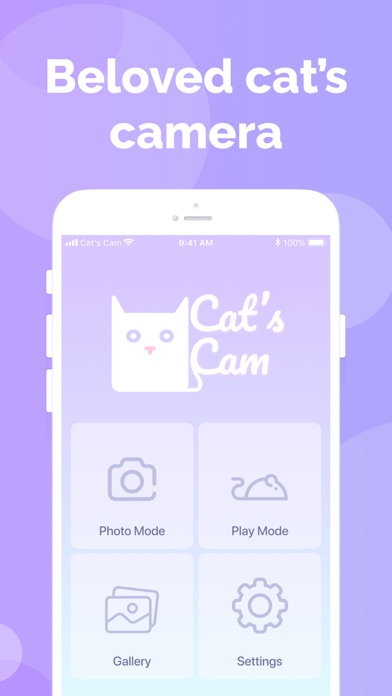 Cat's Cam: selfie of your pet Screenshot