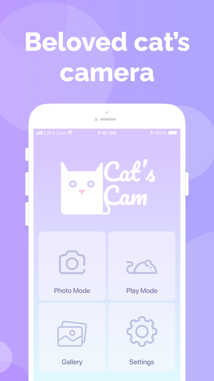 Cats Cam selfie of your pet