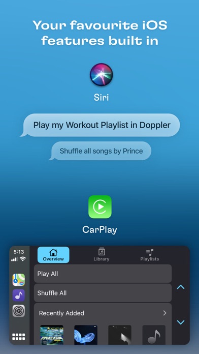 Doppler MP3 & FLAC Player Screenshot