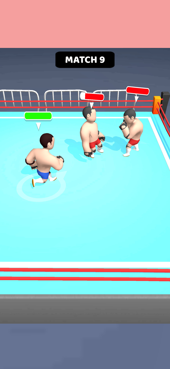 Hyper Wrestler 3D