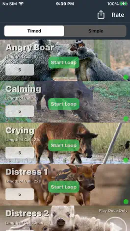 Game screenshot Wild Hog Hunting Calls mod apk